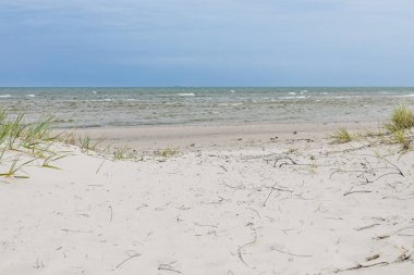 Letonya, Baltık Denizi 'ndeki boş plaj. Saf beyaz kum tepeleri.