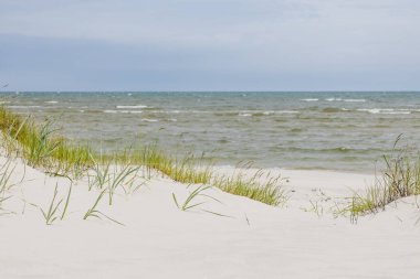 Turkuaz dalgalı geniş Baltık Denizi manzarası, parlak beyaz kum tepeleri ve yeşil kumsal çimenleri.