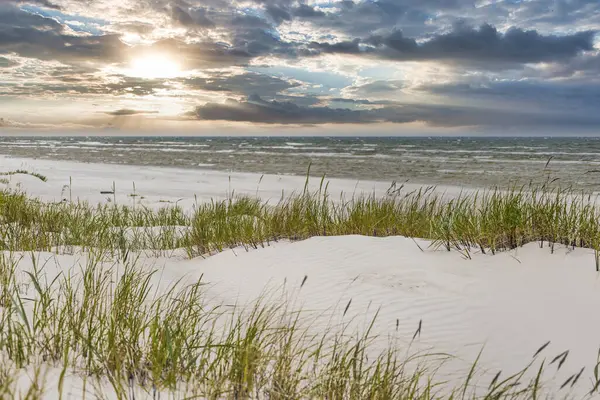 Günbatımında Baltık kıyıları: beyaz kum tepeciği, yeşil kumsal çimleri, yumuşak dalgalar ve dramatik bulutlar.
