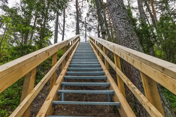 Çam ağaçlarının arasından çıkan metal ve ahşap merdivenlerin alçak açılı görüntüsü..