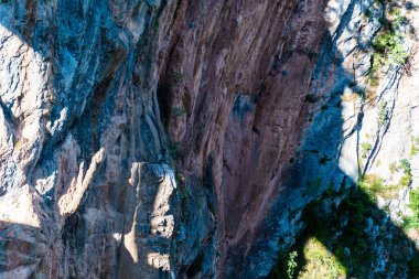 Büyüyen bitki örtüsüyle farklı renklerde taş duvar.