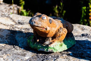 Beton kaldırımda turuncu ve yeşil renkli bir kurbağa oturuyor..