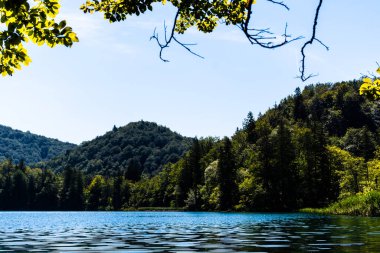 Plitvice Lakes Ulusal Parkı Hırvatistan 'ın en eski ve en büyük ulusal parklarından biri..