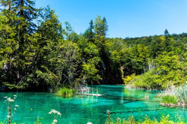 Plitvice Lakes Ulusal Parkı Hırvatistan 'ın en eski ve en büyük ulusal parklarından biri..