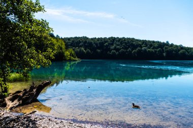 Plitvice Lakes Ulusal Parkı Hırvatistan 'ın en eski ve en büyük ulusal parklarından biri..