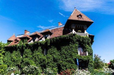 Historical building covered with vegetation in the Cotroceni neighbourhood. Bucharest, Romania.