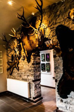 SINAIA, ROMANIA - Eylül 01, 2022 Sinaia Şehir Müzesi. Stirbey Şatosu, Alina Stirbey ve General Florescu 'nun yaz konutuydu ve günümüzde Sinaia' nın en eski sivil binası olarak biliniyor..