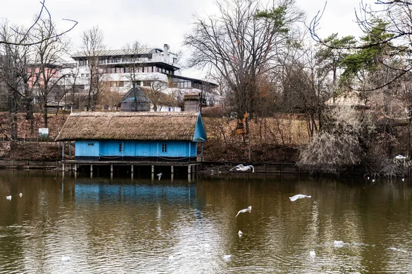 Bucharest ルーマニア 2022年1月2日 Herastrau公園の青い家 木造古民家の風景 — ストック写真