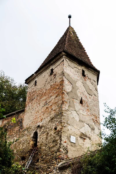 Sighisoara Romania September 2022 Butchers Tower One Nine Towers Located — Stock Photo, Image