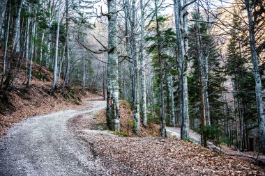 Romanya 'nın Sinaia kentindeki Saint Ana inzivası 1400 metre. Sinaia, Romanya