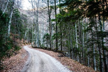 Romanya 'nın Sinaia kentindeki Saint Ana inzivası 1400 metre. Sinaia, Romanya