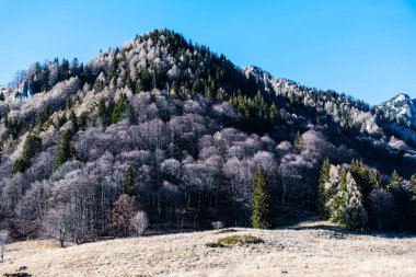 Romanya 'nın Sinaia kentindeki Saint Ana inzivası 1400 metre. Sinaia, Romanya