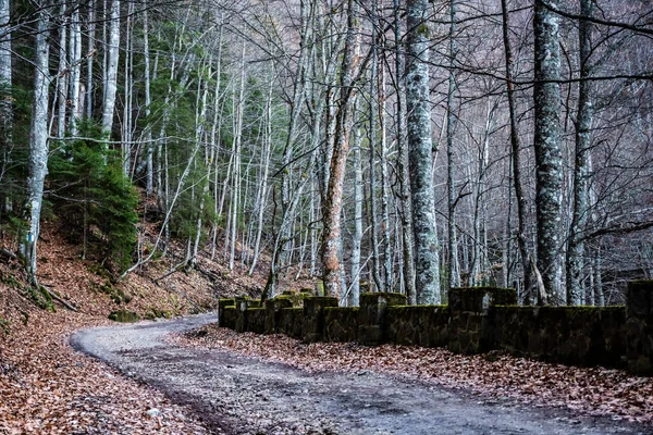 Romanya 'nın Sinaia kentindeki Saint Ana inzivası 1400 metre. Sinaia, Romanya