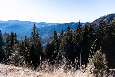 Romanya 'nın Sinaia kentinde 1400' den itibaren görülen Karpat dağlarının manzarası.