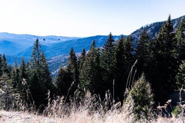 Romanya 'nın Sinaia kentinde 1400' den itibaren görülen Karpat dağlarının manzarası.