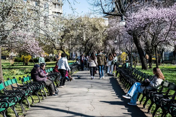 Bucharest Roménia Março 2023 Dia Ensolarado Primavera Parque Cismigiu — Fotografia de Stock