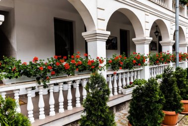 Crisan Ortodoks Manastırı veya Vaca Manastırı. Ribita, Hunedoara ilçesi, Romanya.