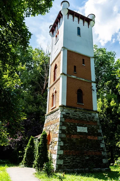 Таргу Джю Румыния Июня 2023 Года Старая Водонапорная Башня Старая — стоковое фото