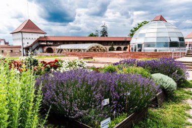 TARGU MURES, ROMANIA - 27 Haziran 2023: Ortaçağ Targu Mures Kalesi