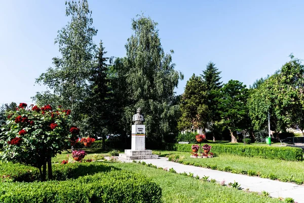 Reghin Rumänien Juni 2023 Die Statue Von Barbu Patriciu Central — Stockfoto