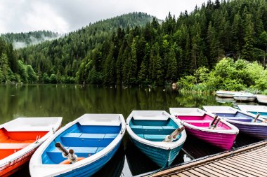 Yağmurlu bir günde Kızıl Göl manzarası. Kızıl Göl, doğal baraj gölü bir deprem sonucu bir yamacın çökmesiyle oluştu. Harghita, Romanya.