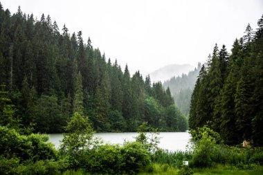 Yağmurlu bir günde Kızıl Göl manzarası. Kızıl Göl, doğal baraj gölü bir deprem sonucu bir yamacın çökmesiyle oluştu. Harghita, Romanya.
