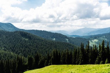 Doğal rezervasyonu Lady 's Stones (Pietrele Doamnei) olan dağ manzarası. Rarau bölgesi, Suceava, Romanya.