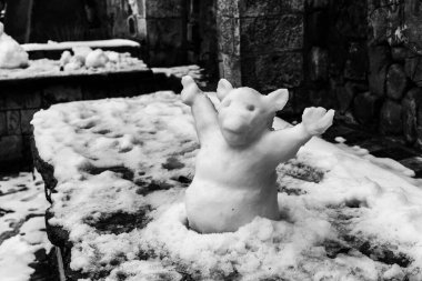 Kardan yapılmış domuz, siyah beyaz fotoğraf..