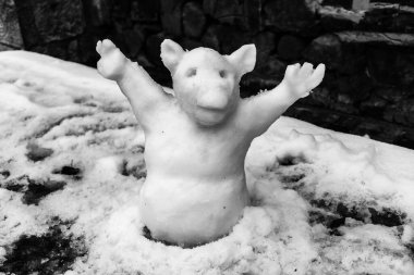 Kardan yapılmış domuz, siyah beyaz fotoğraf..