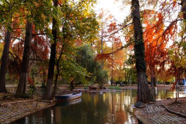 Bükreş 'teki Carol Park' ta sonbahar fotoğrafı