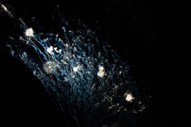 Havai fişekler gece karanlığında parlıyor.