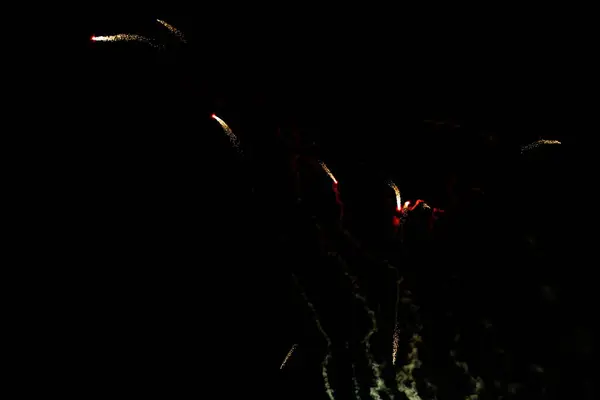 Fogos Artifício Brilham Céu Negro Noturno — Fotografia de Stock