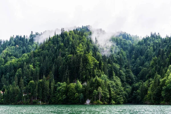景色宜人的科里比塔湖 大海从山上 罗马尼亚Bistrita Nasaud县Calimani山区 — 图库照片