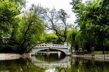 BUCHAREST, ROMANIA - 13 Mayıs 2023: Bükreş 'in en eski halk bahçesi olan Cismigiu Parkı' nın manzarası.