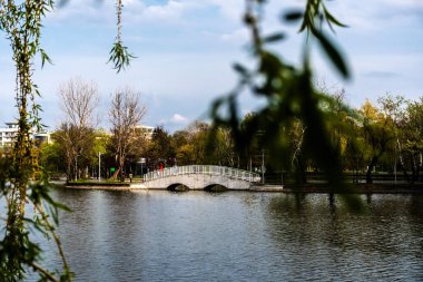 Gölün üzerindeki Bordei parkındaki yaya köprüsü. Bükreş, Romanya.