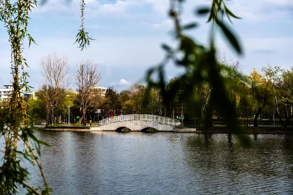 Pedestrian bridge in Bordei park over the lake. Bucharest, Romania.