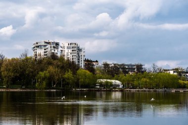 BUCHAREST, ROMANIA - 09 Nisan 2023: Bordei Parkı 'ndaki göl manzarası.