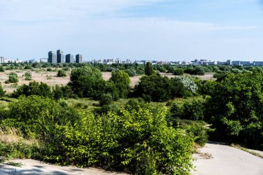 Vacaresti Deltası ya da Vacaresti doğal parkı. Arkasında binalar var. Bükreş, Romanya.