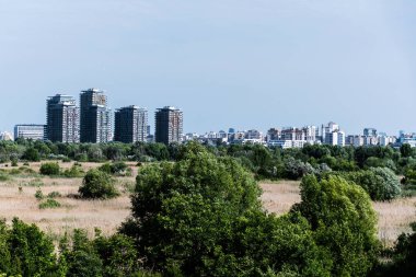 Vacaresti Deltası ya da Vacaresti doğal parkı. Arkasında binalar var. Bükreş, Romanya.