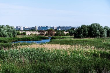 Vacaresti Deltası veya Vacaresti doğal parkı. Bükreş, Romanya.