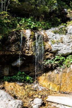 Bucegi dağlarından Valea Spumoasa şelalesi, Busteni, Romanya.