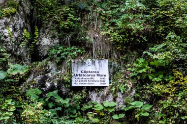 BÜSTENİ, ROMANIA - 24 Eylül 2023: Bucegi dağlarından Urlato bölgesi şelalesi.