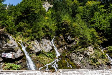 BÜSTENİ, ROMANIA - 24 Eylül 2023: Bucegi dağlarından Valea Spumoasa Şelalesi.