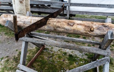 Retro paslı testere değirmeni, ağaç gövdesinde el testeresi..