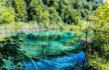 Plitvice Lakes Ulusal Parkı, Hırvatistan 'ın en eski ve en büyük ulusal parklarından biri..