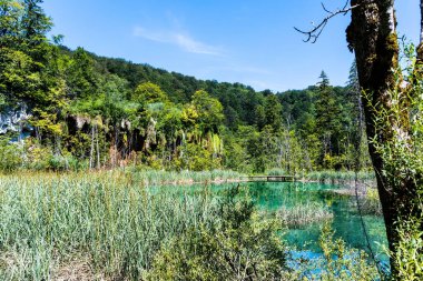 Plitvice Lakes Ulusal Parkı, Hırvatistan 'ın en eski ve en büyük ulusal parklarından biri..
