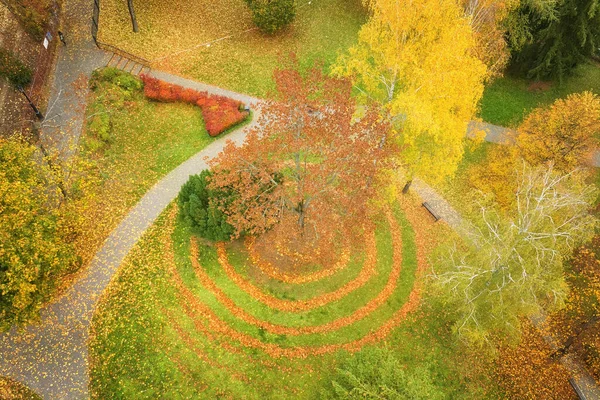Autumn in the castle garden. Aerial view of orange colored fallen leaves, arranged in circles under a tree, on a green lawn. The colours of autumn. Fun in autumn garden.