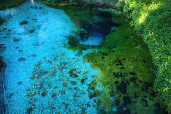 阿尔巴尼亚 生物河的深洞泉 蓝绿色 清凉的水 风景如画的真正纯净的自然 垂直的观点 在阿尔巴尼亚旅行 — 图库照片