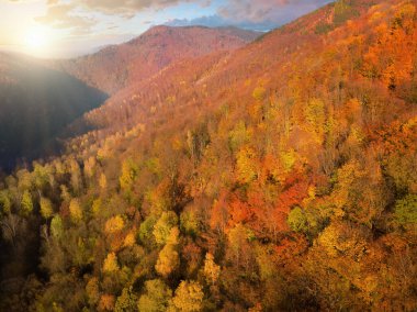Batan güneşli dağ manzarası: Renkli ormanda sarı, turuncu ve kırmızı sonbahar ağaçları. Dağları ve vadiyi kaplayan kızıl kayın ormanları. Strecno alanı, Slovakya.