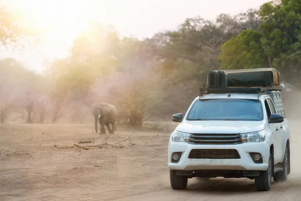 Självkörande Safari Zimbabwe Vit Safari Bil Med Tält Taket Kör — Stockfoto